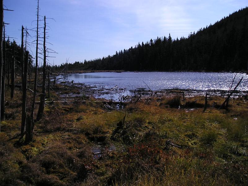 Zeacliff (38).JPG - Another view of Zealand pond